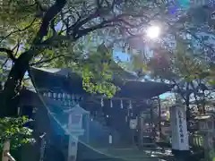 大井神社の本殿