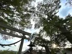 白鳥神社(長野県)