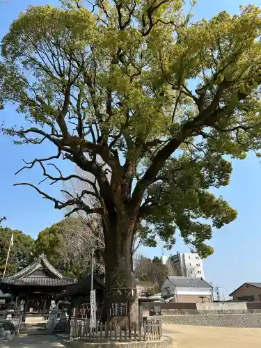 挙母神社(愛知県)