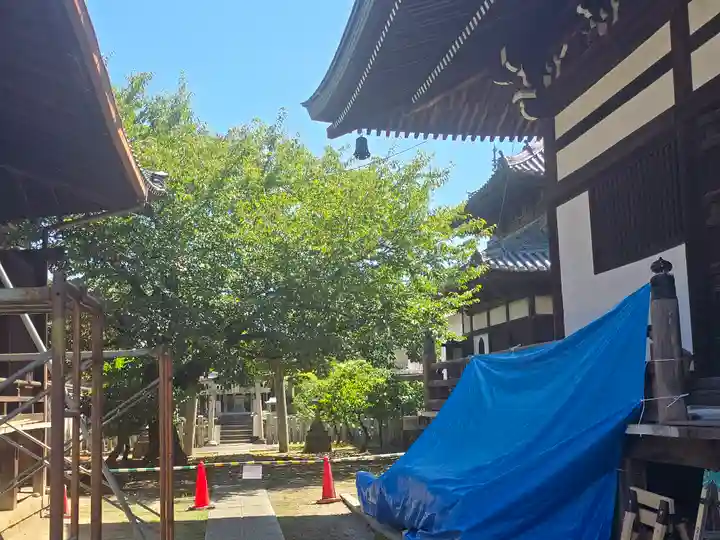 妙顯寺(妙顕寺)(京都府)