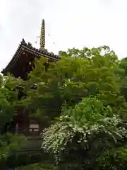 温泉山 安楽寺(四国霊場第六番札所)の建物その他