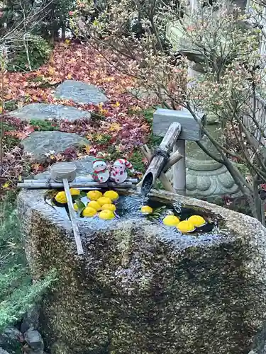 正寿院(京都府)