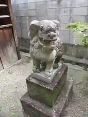 住吉神社の狛犬