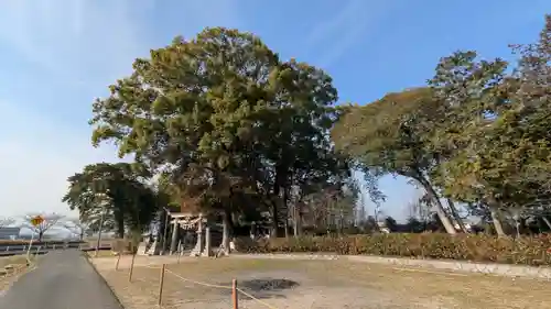 子守神社(滋賀県)