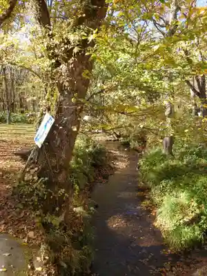 戸隠神社奥社(長野県)