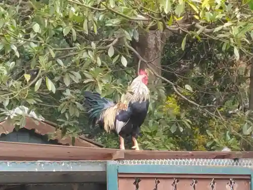 観音寺(神奈川県)