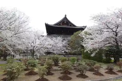 東寺（教王護国寺）(京都府)