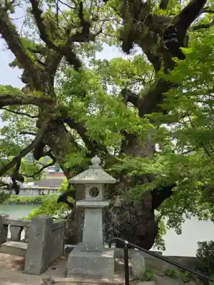 與止日女神社(佐賀県)