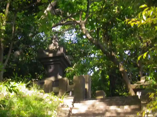 浄光明寺の自然