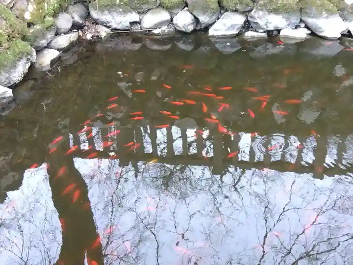 柳廼社(福井県)