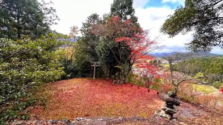 金比羅神社(京都府)