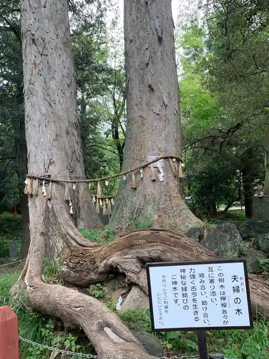 妻沼聖天山歓喜院の自然