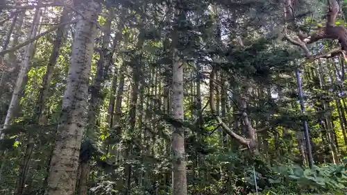 月浦八幡神社の自然
