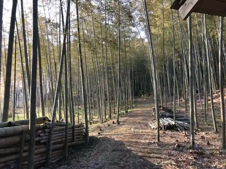 皇産靈神社の自然