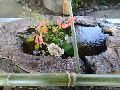 阿智神社の手水