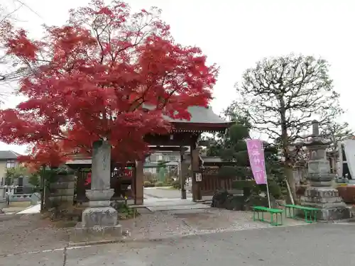 迎盛院の山門・神門