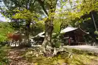 繁多寺の本殿・本堂