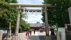 浅草神社の鳥居