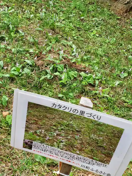 観音寺(福島県)