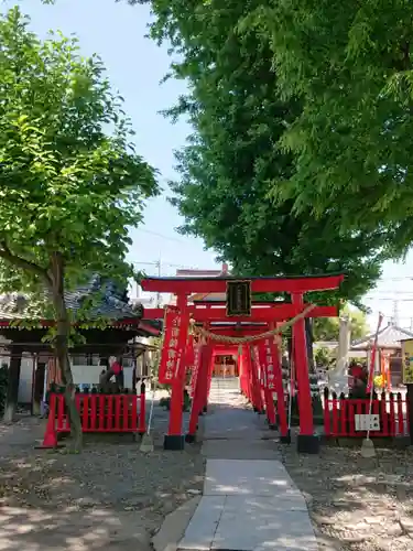 於菊稲荷神社の鳥居