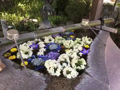 石薬師寺の手水舎