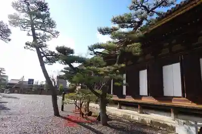 蓮華王院(三十三間堂)の本殿・本堂