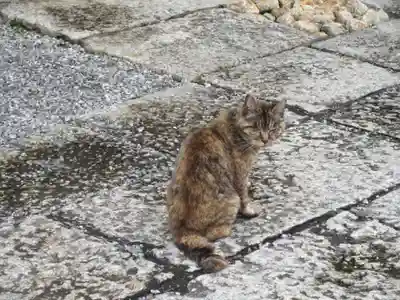 延命寺(栃木県)