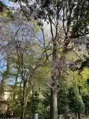 大國魂神社(東京都)