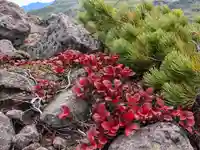 祠(大雪神社奥の院)(北海道)