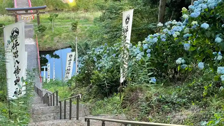 坪沼八幡神社の自然