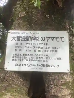 尾張冨士大宮浅間神社のその他建物