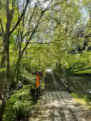 三戸大神宮の自然