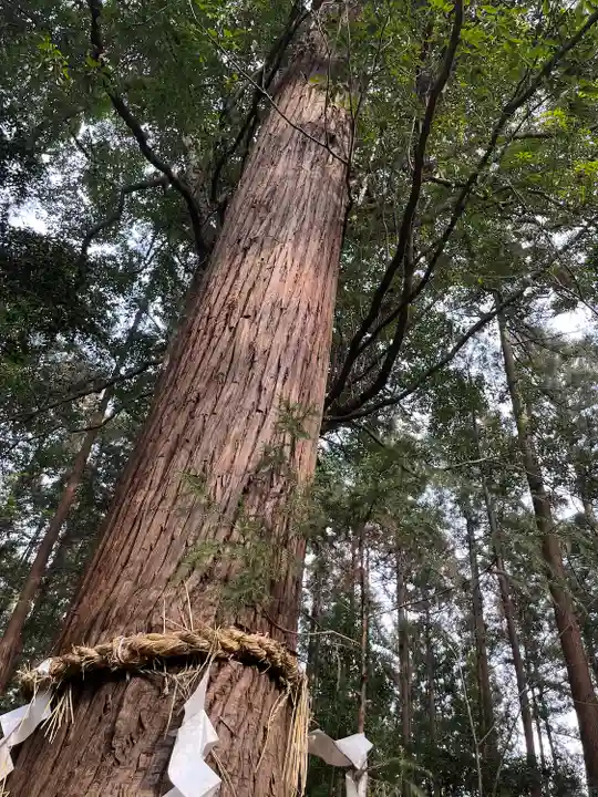 磯部稲村神社(茨城県)