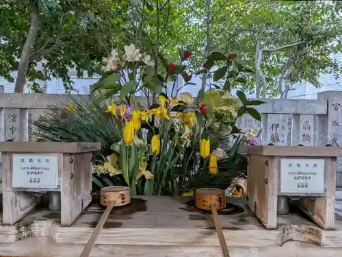 神明氷川神社(東京都)