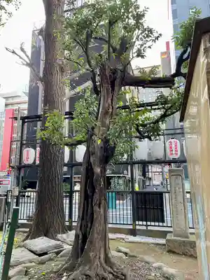 稲荷鬼王神社(東京都)