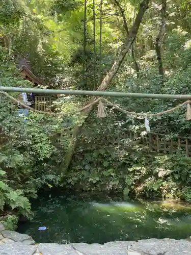 八重垣神社(島根県)