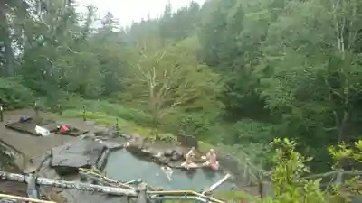 美瑛神社の周辺