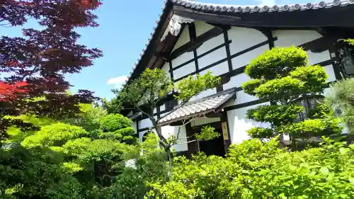 霊源院の{uncategorized: "未分類", other: "その他", undefined: "問題あり", building: "その他建物", grave: "お墓", sacred_gate: "鳥居", guardian: "狛犬", statue: "像", buddha: "仏像", history: "歴史", nature: "自然", garden: "庭園", animal: "動物", pagoda: "塔", temizu: "手水舎", mountain_gate: "山門・神門", sanctuary: "本殿・本堂", subordinate: "末社・摂社", art: "芸術", scenery: "景色", jizo: "地蔵", ema: "絵馬", goshuin: "御朱印", omikuji: "おみくじ", items: "授与品その他", amulet: "お守り", goshuincho: "御朱印帳", eats: "食事", festival: "お祭り", votive_dance: "神楽", shichigosan: "七五三参", wedding: "結婚式", experience: "体験その他", initially: "初詣", around: "周辺", anti_infection: "感染症対策"}