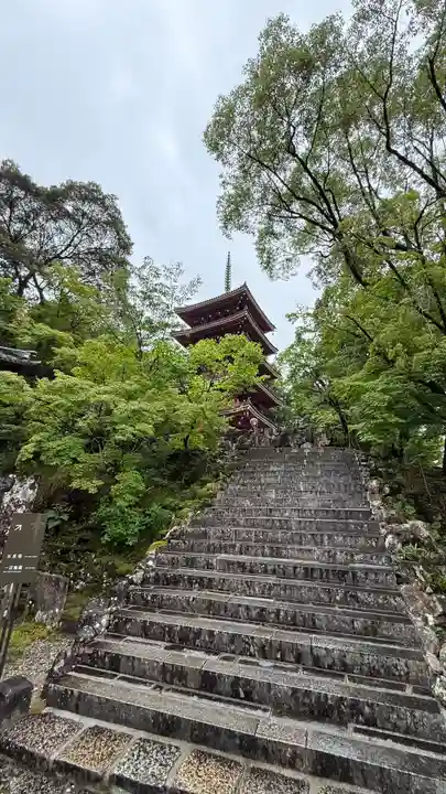 竹林寺(高知県)