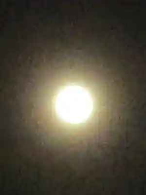 櫻木神社(千葉県)