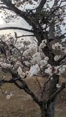  智積院(京都府)