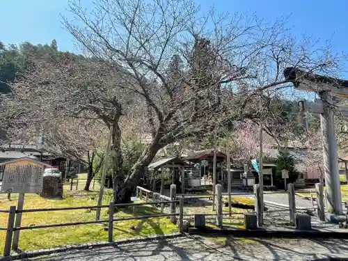 春日神社(京都府)