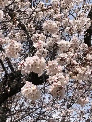 伏木香取神社の自然