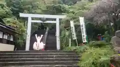 桃太郎神社の鳥居