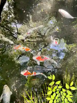 杵築大社(東京都)