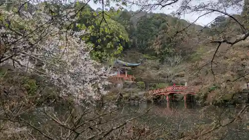 醍醐寺(京都府)