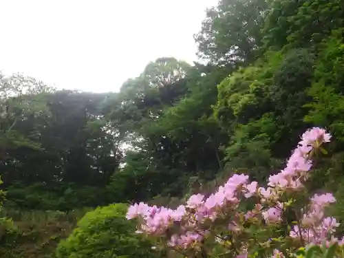 寿福寺の景色