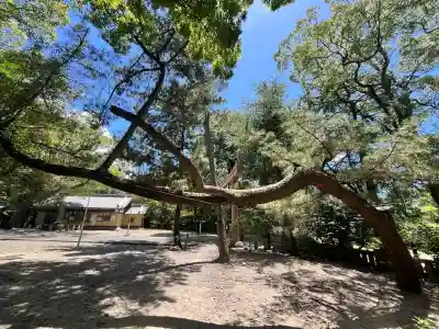 和歌山縣護國神社(和歌山県)