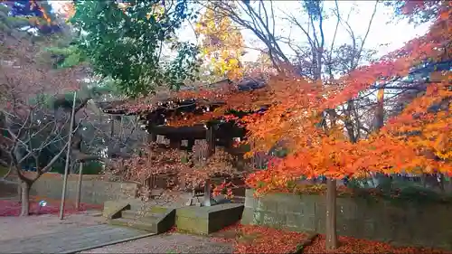 東漸寺の景色