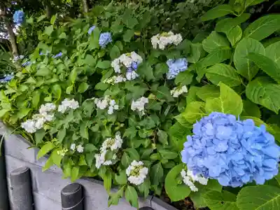 長谷寺(神奈川県)